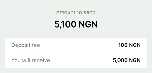 Busha naira deposit summary: amount to send 5,100 NGN, deposit fee 100 NGN, you will receive 5,000 NGN