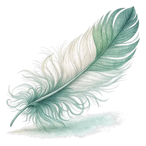 Line drawing of a single feather